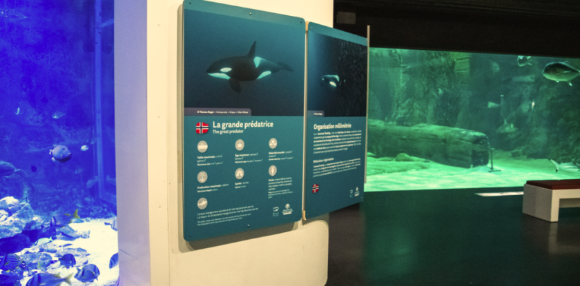 Seaquarium Institut Marin / L'exposition « Grandeur Inestimée » est à découvrir jusqu'au 30 juin